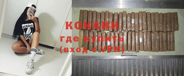 гидра Пересвет