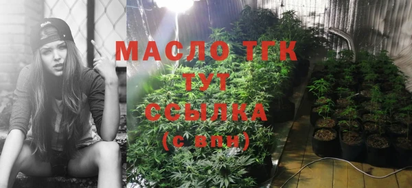 гидра Пересвет