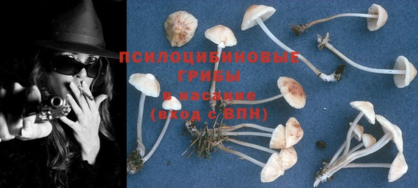 гидра Пересвет