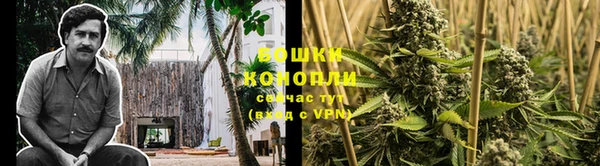гидра Пересвет