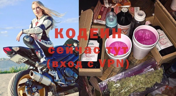 эйфоретик Вяземский