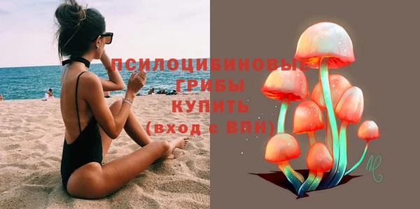 гидра Пересвет