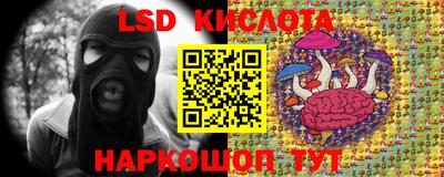 ПСИЛОЦИБИНОВЫЕ ГРИБЫ Абакан