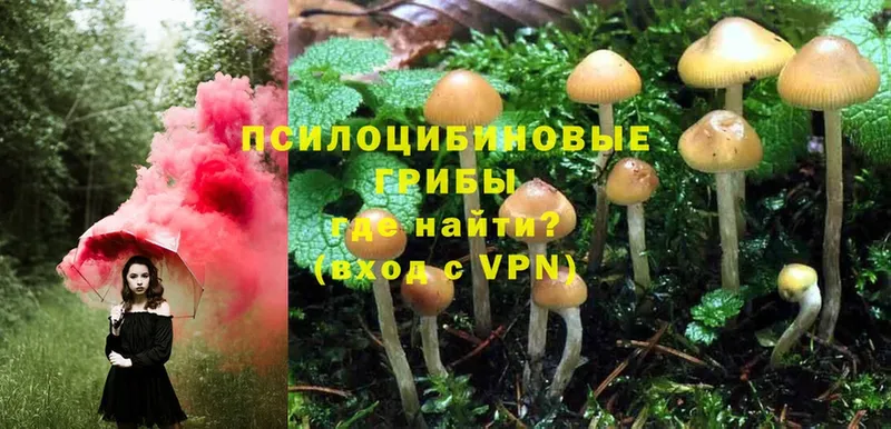 Псилоцибиновые грибы Magic Shrooms Анжеро-Судженск