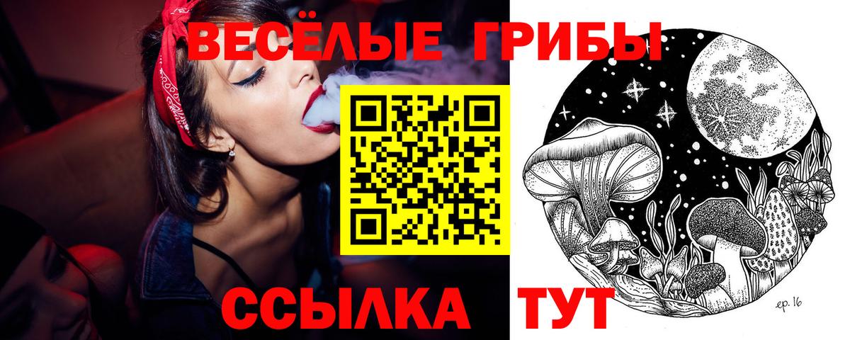 Анжеро-Судженск  Галлюциногенные грибы Magic Shrooms  Вход с VPN 