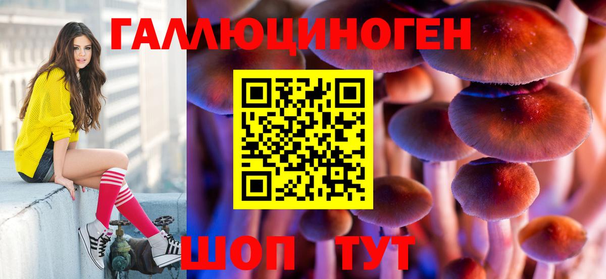Галлюциногенные грибы Magic Shrooms Анжеро-Судженск