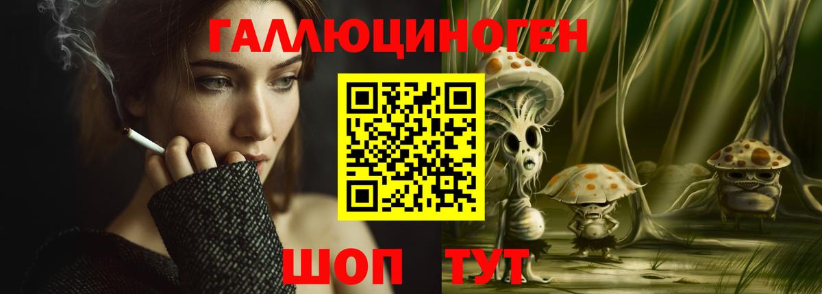 Анжеро-Судженск  Псилоцибиновые грибы Psilocybe  Вход с VPN 