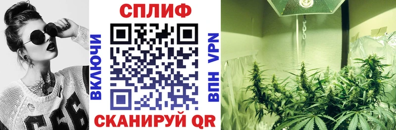 omg как войти Анжеро-Судженск Бошки марихуана SATIVA & INDICA даркнет сайт